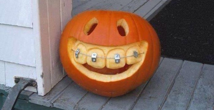 Dentista zucca